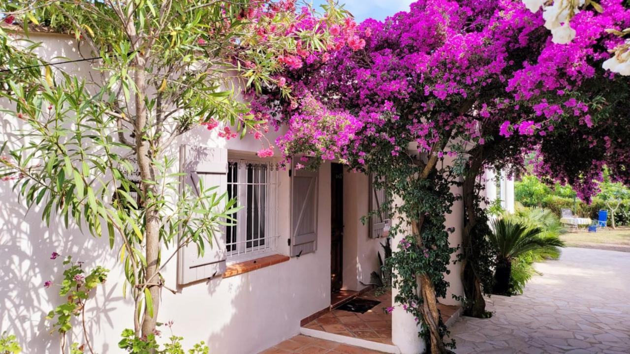 Villa Provencale A Sainte Maxime, Golf De Saint Tropez Exteriér fotografie