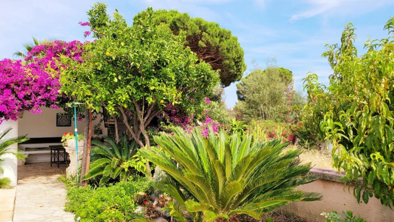Villa Provencale A Sainte Maxime, Golf De Saint Tropez Exteriér fotografie