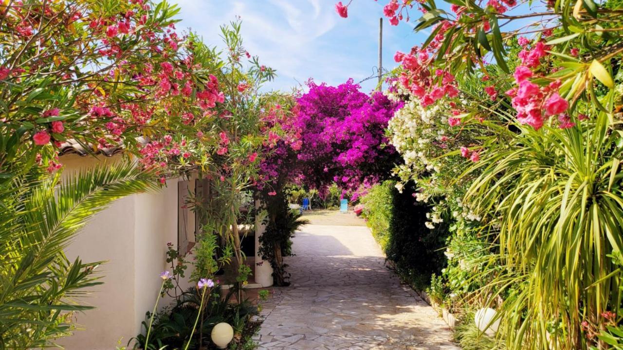 Villa Provencale A Sainte Maxime, Golf De Saint Tropez Exteriér fotografie