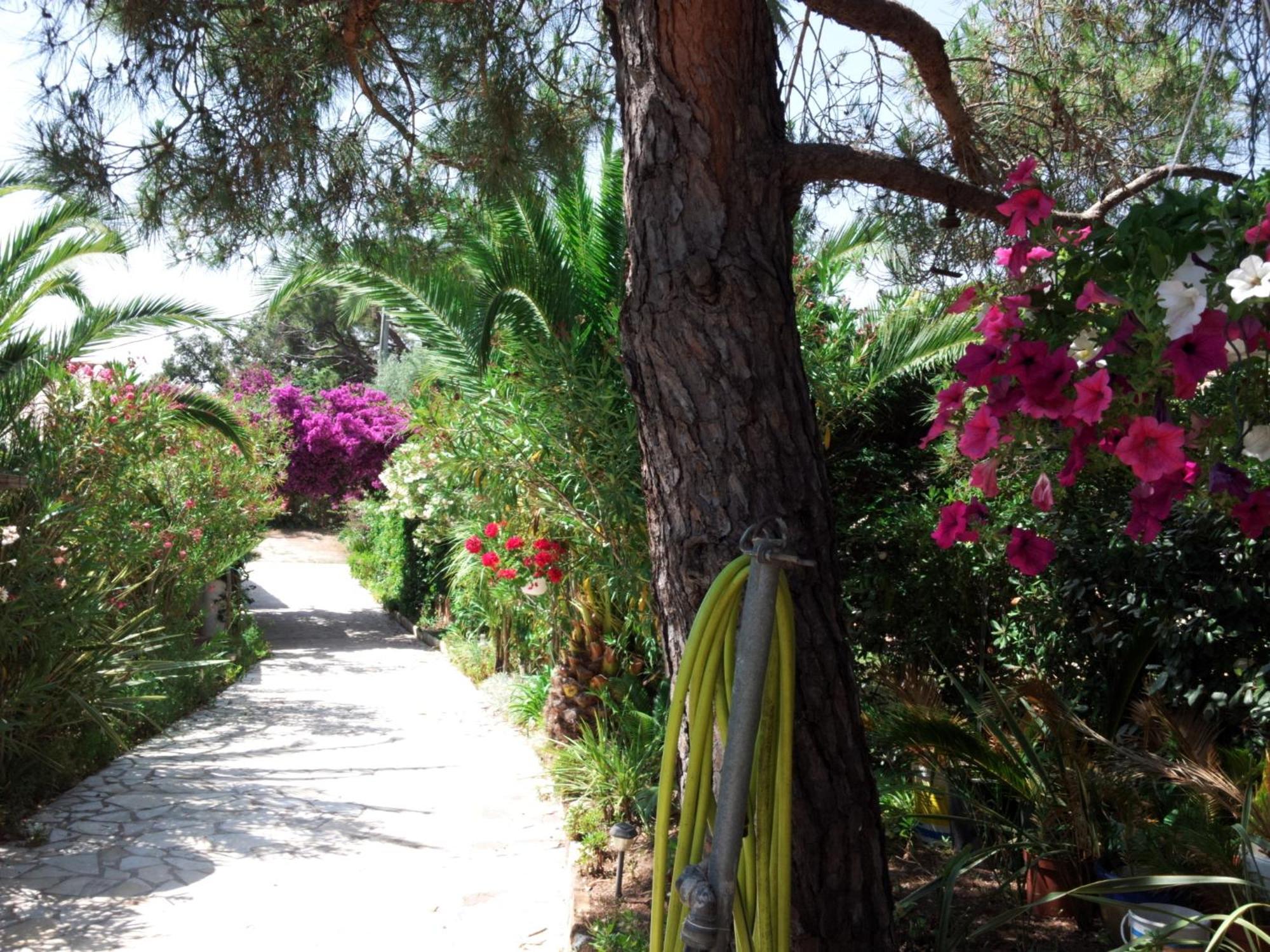 Villa Provencale A Sainte Maxime, Golf De Saint Tropez Exteriér fotografie