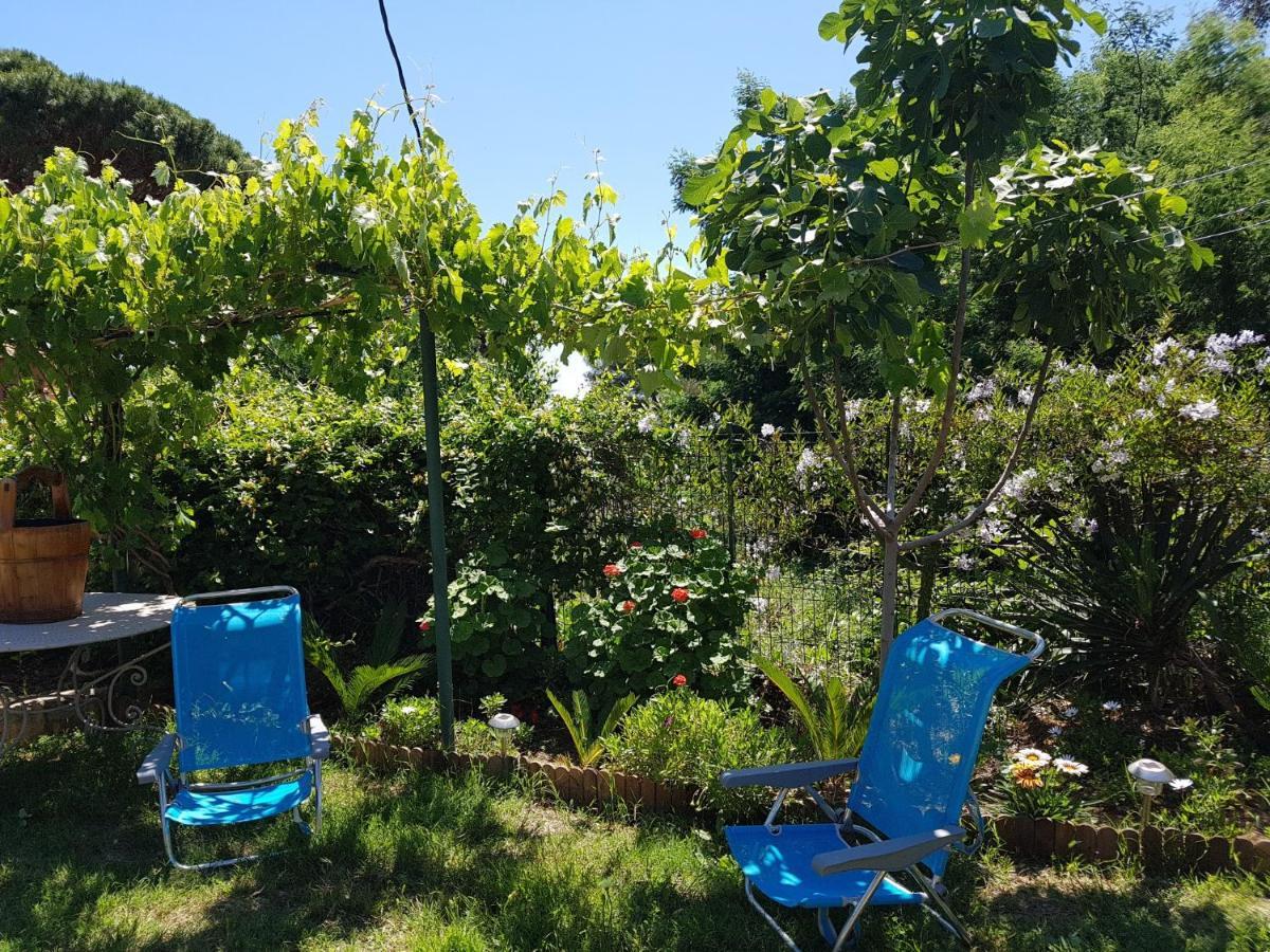 Villa Provencale A Sainte Maxime, Golf De Saint Tropez Exteriér fotografie